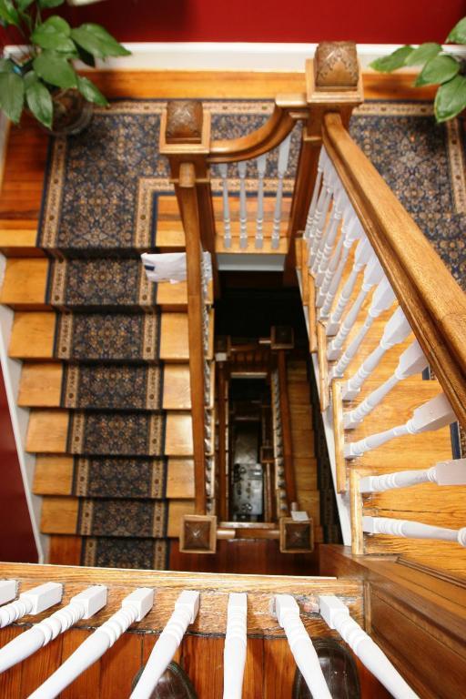 Wilson House Bed & Breakfast Baltimore Exterior photo